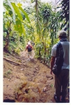 Saut de la lezarde 1.jpg